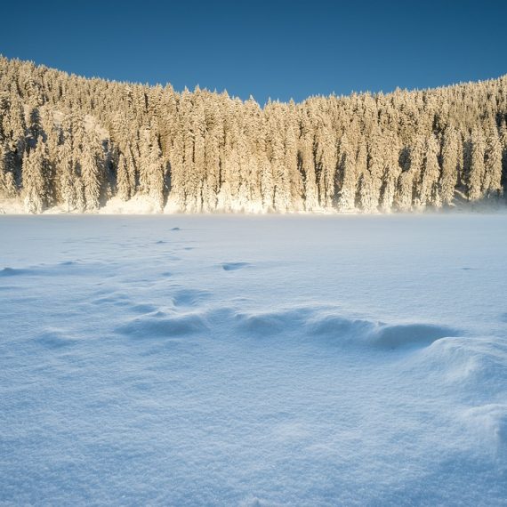 Mummelsee, Winter, Schwarzwald, Schnee, Wadern