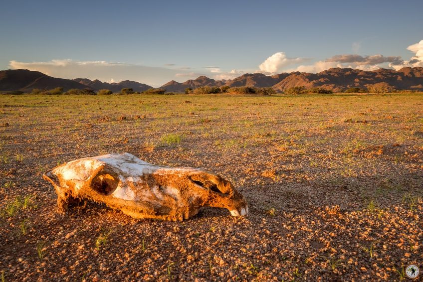 Solitaire Death, Namibia Namib