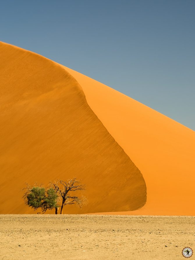 Düne 45 Namibia Namib Sossusvlei