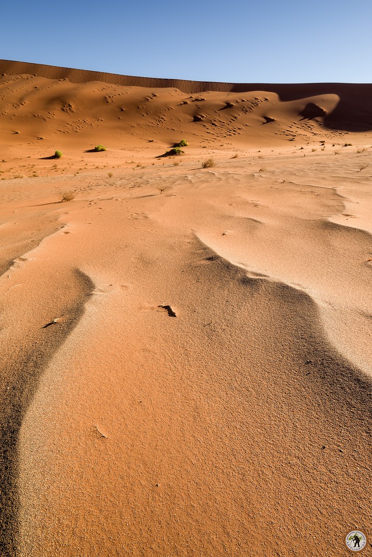 Deadvlei Namib