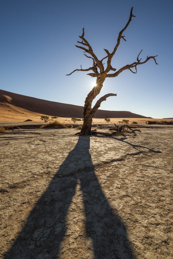Deadvlei Namib