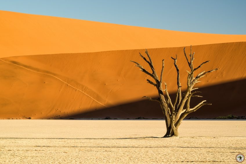 Deadvlei Namib Desert Namibia