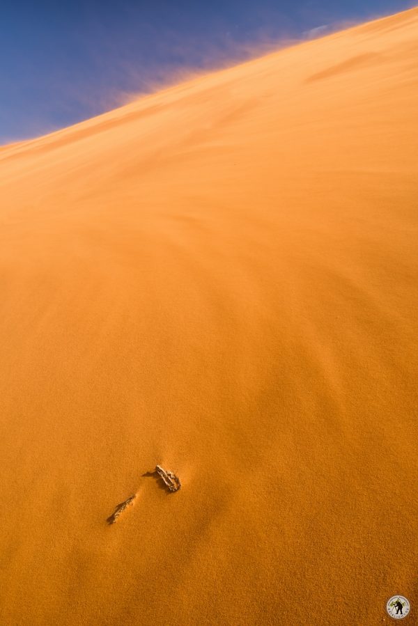 Namib Desert Sandstorm