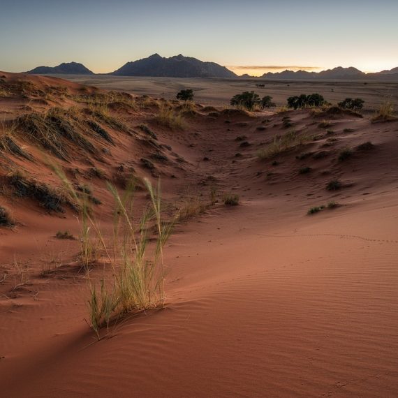 Elim Düne Namib