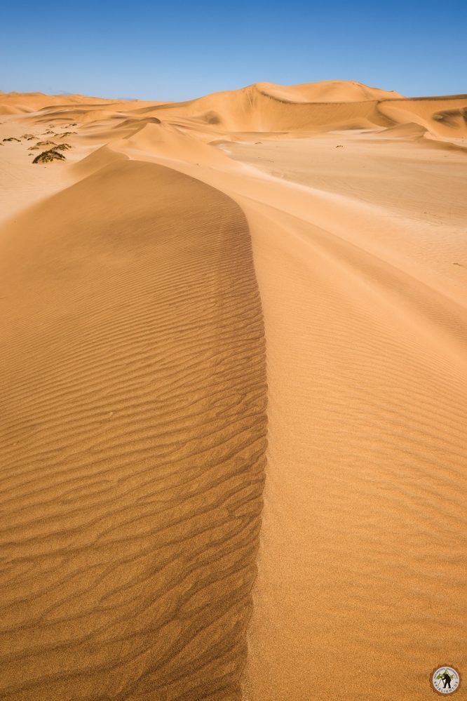 Dorob Dunes © Raik Krotofil