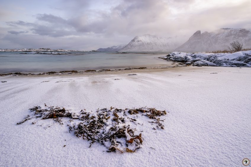 Gimsøy, Winter, Lofoten, Schnee, Januar, Eis, Polarlichter, beste Fotoreise, Kirche