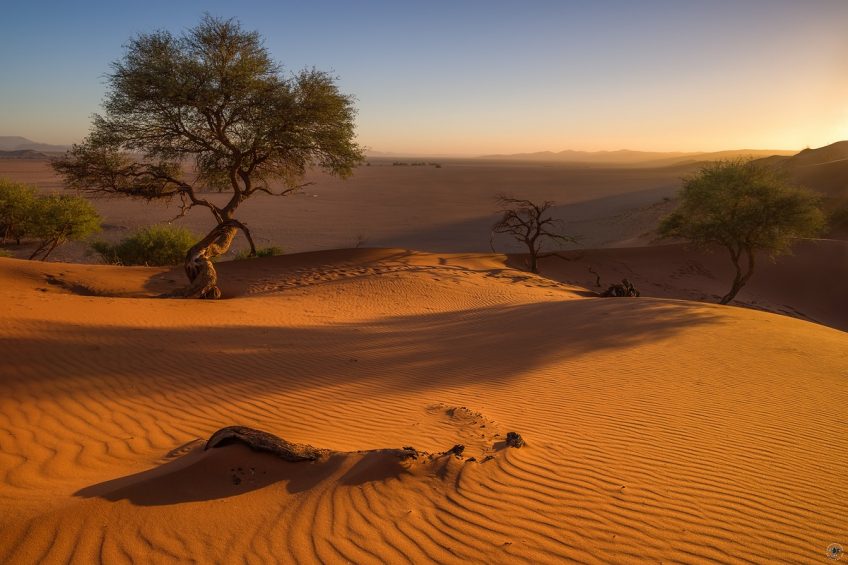 Elim Dune Namibia