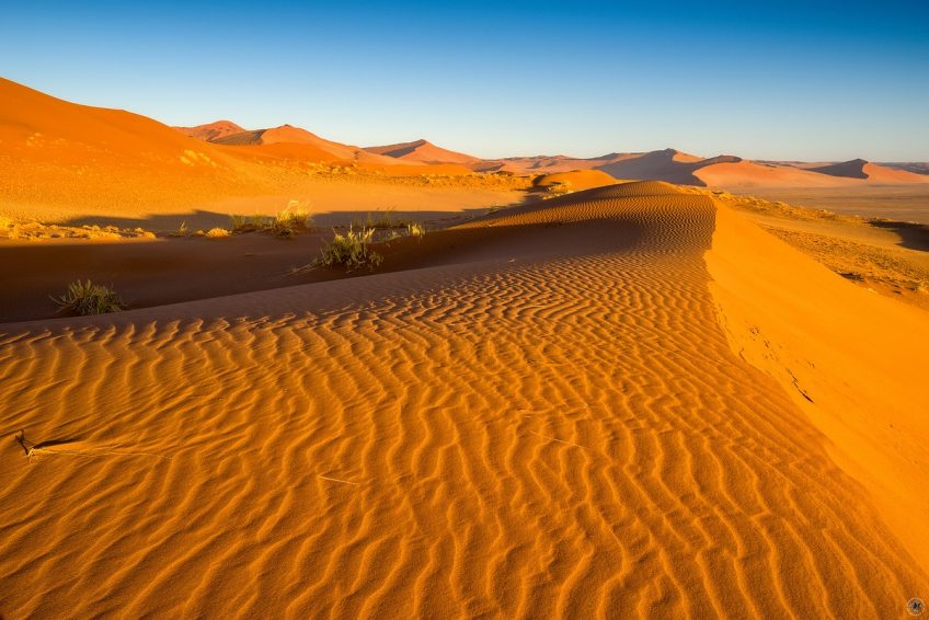 Namib Dunes Namibia