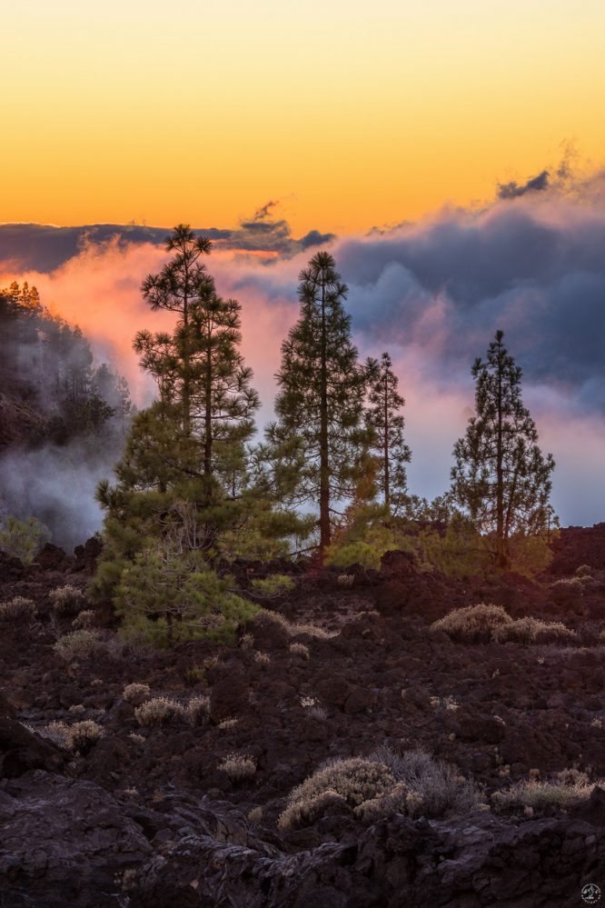 Teide Sunset Teneriffa