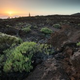 Corona Forestal, Teide, Teneriffa