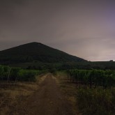 Gewitter zwischen Wein und Wald