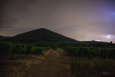 Gewitter zwischen Wein und Wald