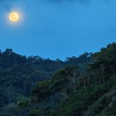 Pulau Redang Moonrise Taaras