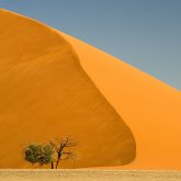 Düne 45 Namibia Namib Sossusvlei