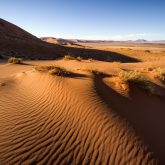 Düne 19 Namib