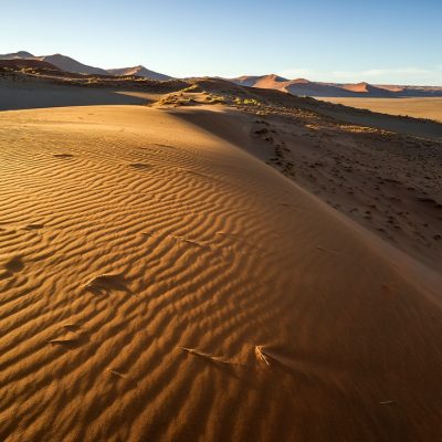Dünen Namib