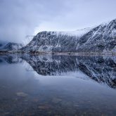 Mirror Lofoten Fjord, Spiegelung, Winter, Schnee, Fotoreise